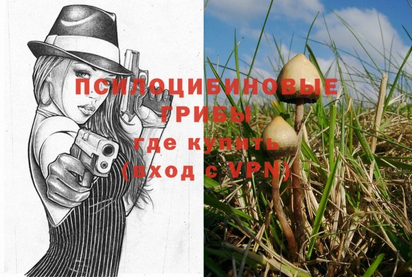 спиды Мегион